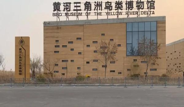 三角洲行动辅助在哪下载(给我一个三角洲行动辅助器的下载链接) 三角洲行动辅助在哪下载(给我一个三角洲行动辅助器的下载链接)